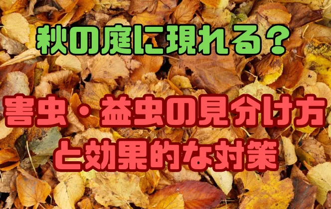 秋の庭に現れる害虫・益虫の見分け方と効果的な対策