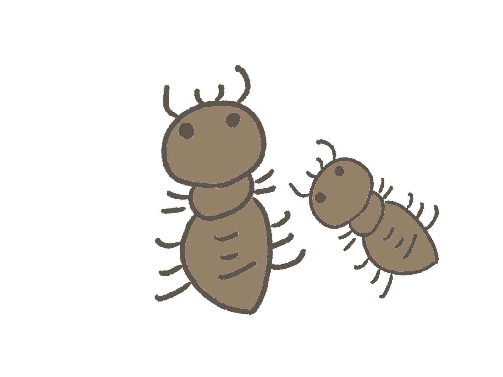 12月に活発化する害虫の特徴と駆除法