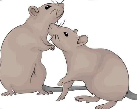 ネズミ繁殖期の特徴と被害対策法