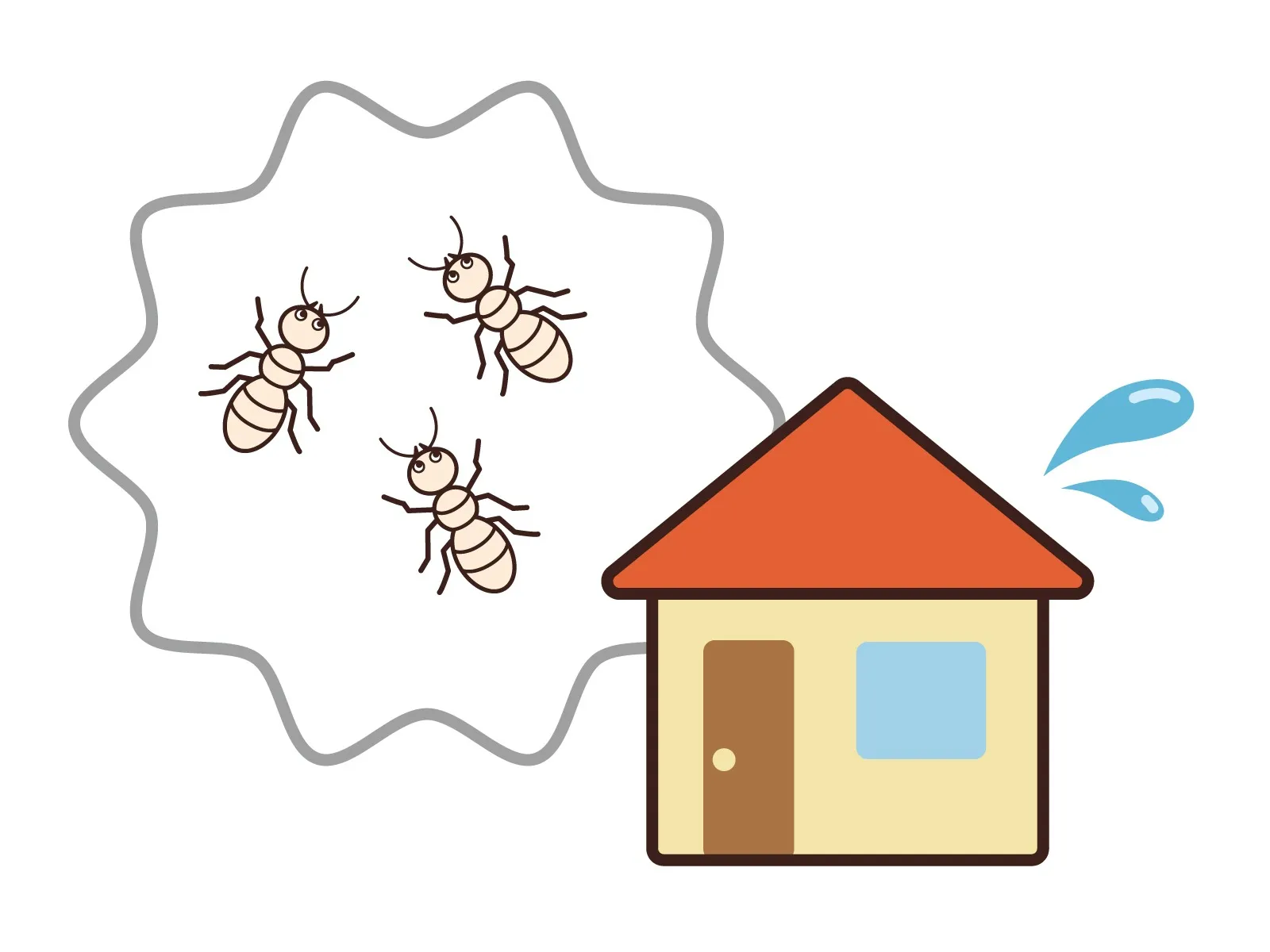 シロアリチェックの基本とDIYで家屋を守る自己点検ガイド